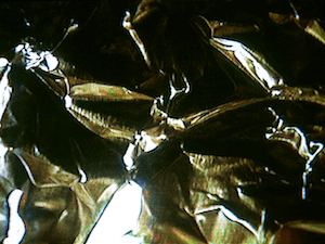 Video Image for Foil