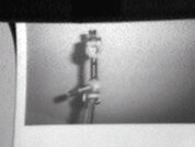 Video Image for Untitled